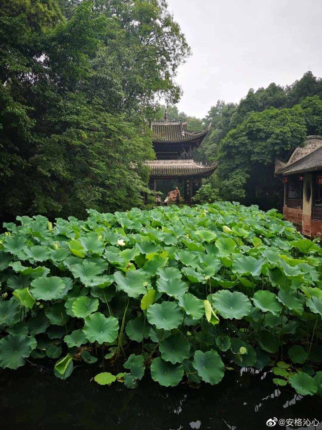 喜大普奔！2022年，成都跑西昌最快3小时！高铁也在申报中了