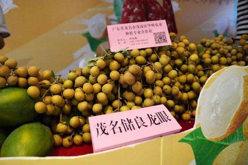 接过荔枝的接力棒，广东龙眼来了