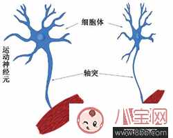 渐冻症是什么病能治好吗 渐冻症在什么人群中常见
