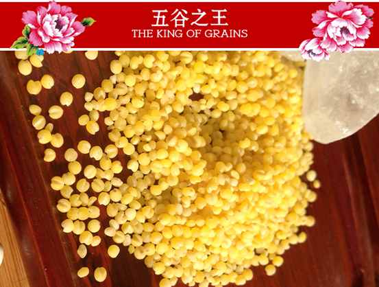你真的知道什么是小米吗？
