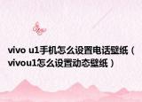 vivo u1手机怎么设置电话壁纸（vivou1怎么设置动态壁纸）
