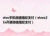 vivo手机微信指纹支付（vivox21s开通微信指纹支付）