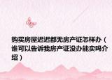 购买房屋迟迟都无房产证怎样办（谁可以告诉我房产证没办能卖吗介绍）