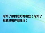 吃知了猴的地方有哪些（吃知了猴的危害详细介绍）
