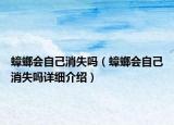蟑螂会自己消失吗（蟑螂会自己消失吗详细介绍）