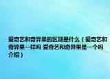 爱奇艺和奇异果的区别是什么（爱奇艺和奇异果一样吗 爱奇艺和奇异果是一个吗介绍）