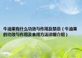 牛油果有什么功效与作用及禁忌（牛油果的功效与作用及食用方法详细介绍）