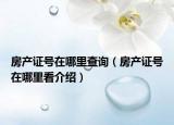 房产证号在哪里查询（房产证号在哪里看介绍）