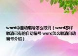 word中自动编号怎么取消（word怎样取消已有的自动编号 word怎么取消自动编号介绍）