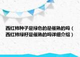 西红柿种子是绿色的是催熟的吗（西红柿绿籽是催熟的吗详细介绍）