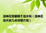 洛神花需要晒干泡水吗（洛神花泡水放几朵详细介绍）