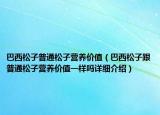 巴西松子普通松子营养价值（巴西松子跟普通松子营养价值一样吗详细介绍）