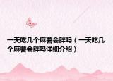 一天吃几个麻薯会胖吗（一天吃几个麻薯会胖吗详细介绍）