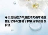 今日更新结子榨油驱动力他年还立柱石功咏叹的哪个树黄连木有什么价值