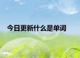 今日更新什么是单词
