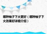 哪种柚子下火更好（哪种柚子下火效果好详细介绍）