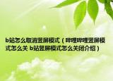 b站怎么取消竖屏模式（哔哩哔哩竖屏模式怎么关 b站竖屏模式怎么关闭介绍）