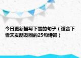 今日更新描写下雪的句子（适合下雪天发朋友圈的25句诗词）