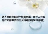 两人共同共有房产如何继承（跟外人共有房产如何继承有什么特别的规定吗介绍）