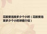 花胶要泡发多少个小时（花胶要泡发多少个小时详细介绍）
