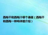 西梅干和西梅汁哪个通便（西梅干和西梅一样吗详细介绍）