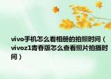 vivo手机怎么看相册的拍照时间（vivoz1青春版怎么查看照片拍摄时间）