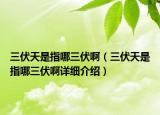 三伏天是指哪三伏啊（三伏天是指哪三伏啊详细介绍）
