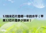 12纳米芯片是哪一年的水平（苹果12芯片是多少纳米）