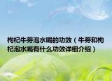 枸杞牛蒡泡水喝的功效（牛蒡和枸杞泡水喝有什么功效详细介绍）