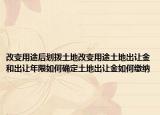 改变用途后划拨土地改变用途土地出让金和出让年限如何确定土地出让金如何缴纳