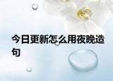 今日更新怎么用夜晚造句