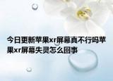 今日更新苹果xr屏幕真不行吗苹果xr屏幕失灵怎么回事
