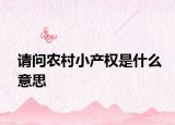 请问农村小产权是什么意思