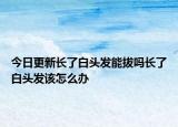 今日更新长了白头发能拔吗长了白头发该怎么办
