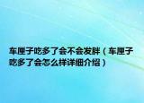 车厘子吃多了会不会发胖（车厘子吃多了会怎么样详细介绍）