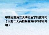 粤康码变黄三天两检后才能变绿吗（没有三天两检会变黄码吗详细介绍）