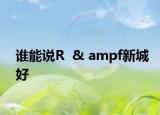 谁能说R  & ampf新城好