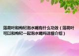 薄荷叶和枸杞泡水喝有什么功效（薄荷叶可以和枸杞一起泡水喝吗详细介绍）