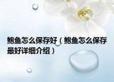 鲍鱼怎么保存好（鲍鱼怎么保存最好详细介绍）