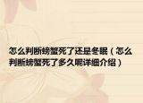 怎么判断螃蟹死了还是冬眠（怎么判断螃蟹死了多久呢详细介绍）