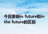 今日更新in future和in the future的区别