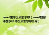 word里怎么添加水印（word如何添加水印 怎么添加水印介绍）