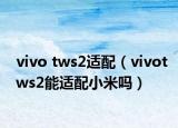 vivo tws2适配（vivotws2能适配小米吗）