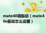 mate40调振动（mate40e振动怎么设置）