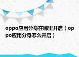 oppo应用分身在哪里开启（oppo应用分身怎么开启）