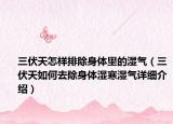 三伏天怎样排除身体里的湿气（三伏天如何去除身体湿寒湿气详细介绍）