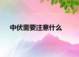 中伏需要注意什么
