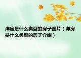 洋房是什么类型的房子图片（洋房是什么类型的房子介绍）