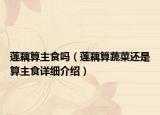 莲藕算主食吗（莲藕算蔬菜还是算主食详细介绍）