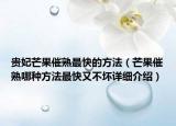 贵妃芒果催熟最快的方法（芒果催熟哪种方法最快又不坏详细介绍）